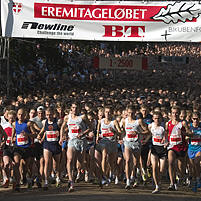 The start of the Eremitagerun, Dyrehaven, Denmark.