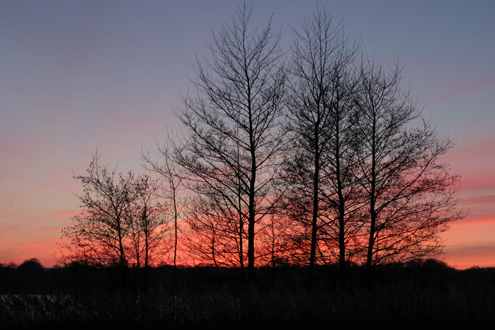 Solnedgang ved Bagsværd Sø.