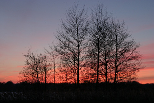 Sunset at Bagsværd Sø (Denmark).