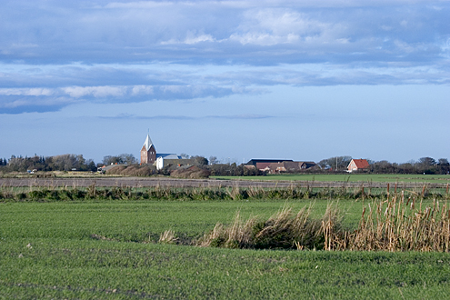 Uge 49 - Dansk Landskab, Ballum Kirke, Sønderjylland