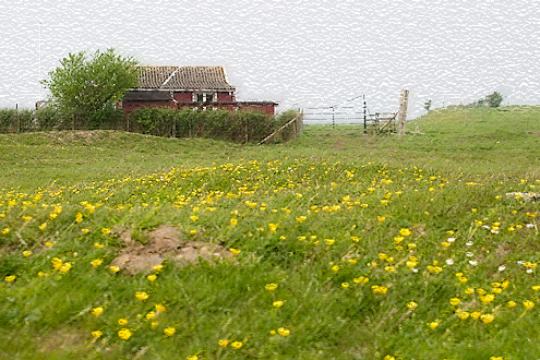 Landscape, Saltholm, Denmark