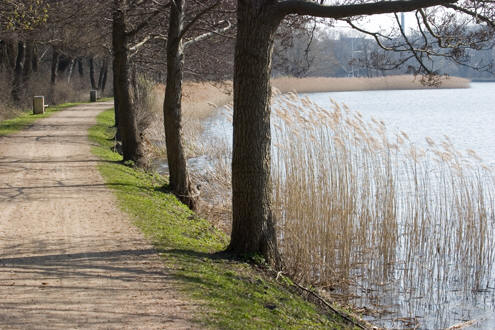 Gang og cykelsti langs Lyngby Sø