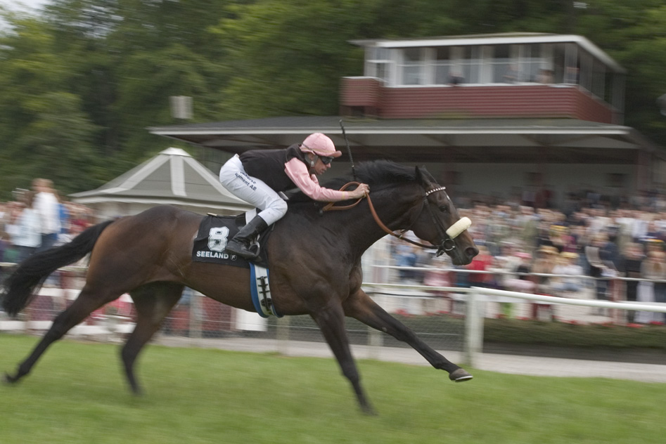 Dansk Derby 2004